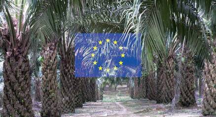 Deforestation free palm oil EU