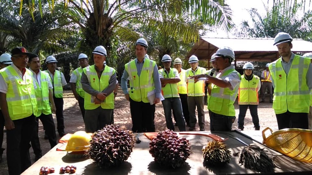 Sustainable Malaysian palm oil EU