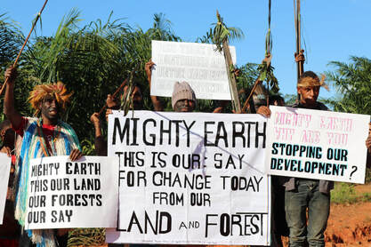 Indigenous peoples of Papua criticize Mighty Earth