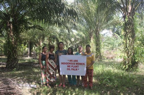 Indigenous palm oil farmers protest 