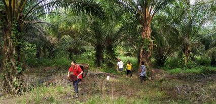 Palm oil small holders Malaysia