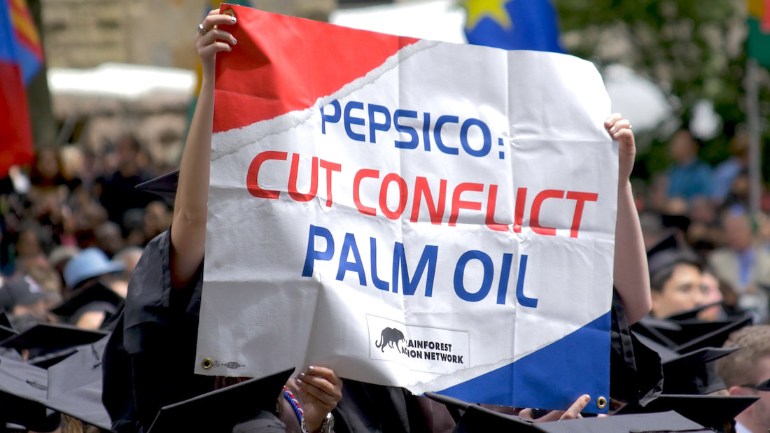 Broad, International Coalition Calls Out PepsiCo for Ongoing Deforestation, Labor Rights Abuses in Palm Oil Supply Chain